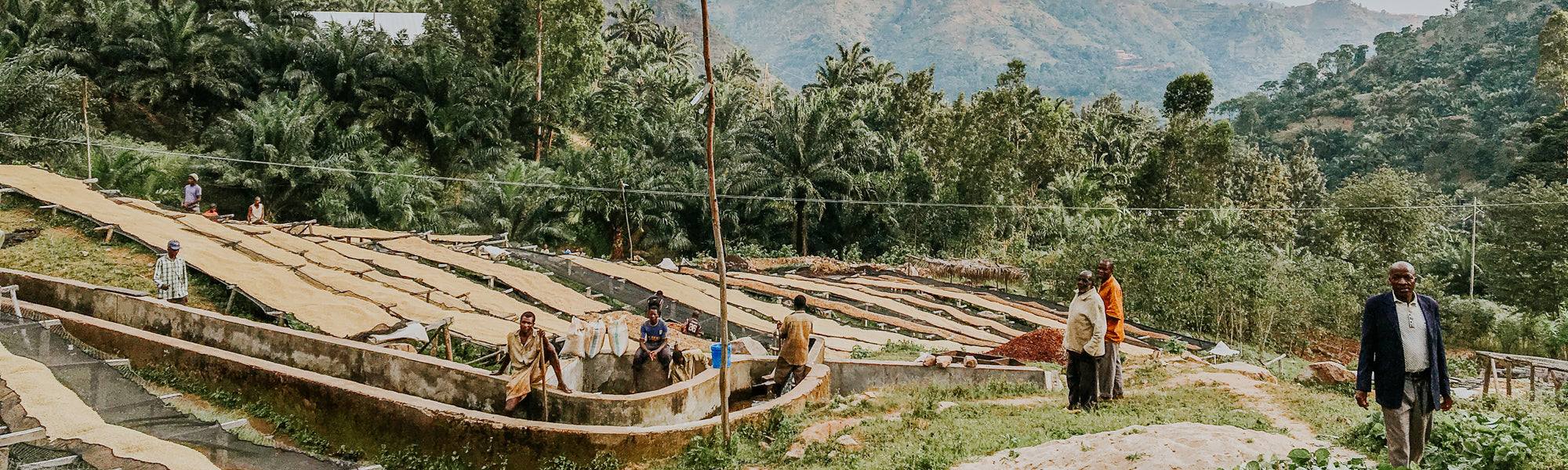 Coffee Sourcing Part 1: Commodities and Direct Trade