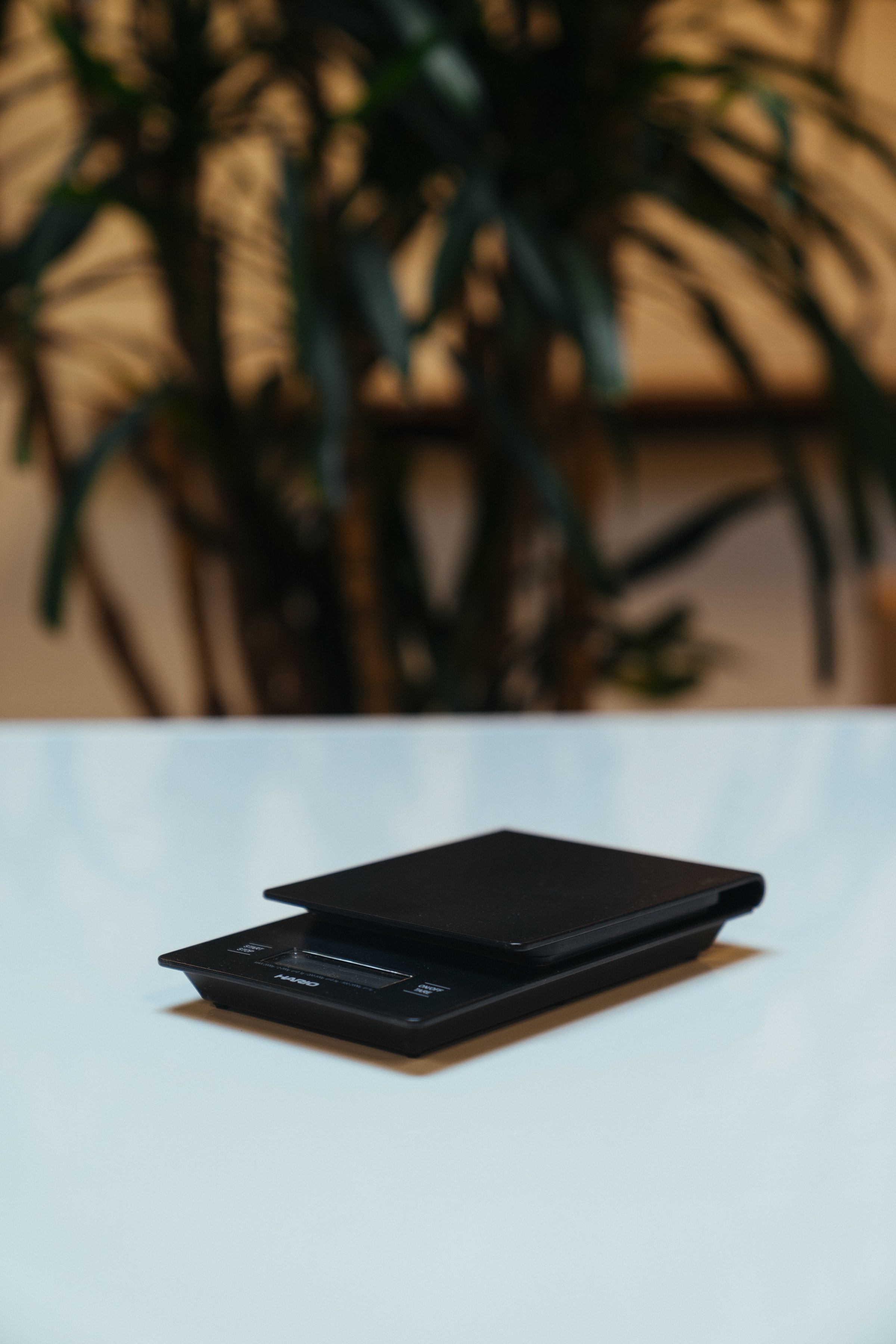Scale product shot
