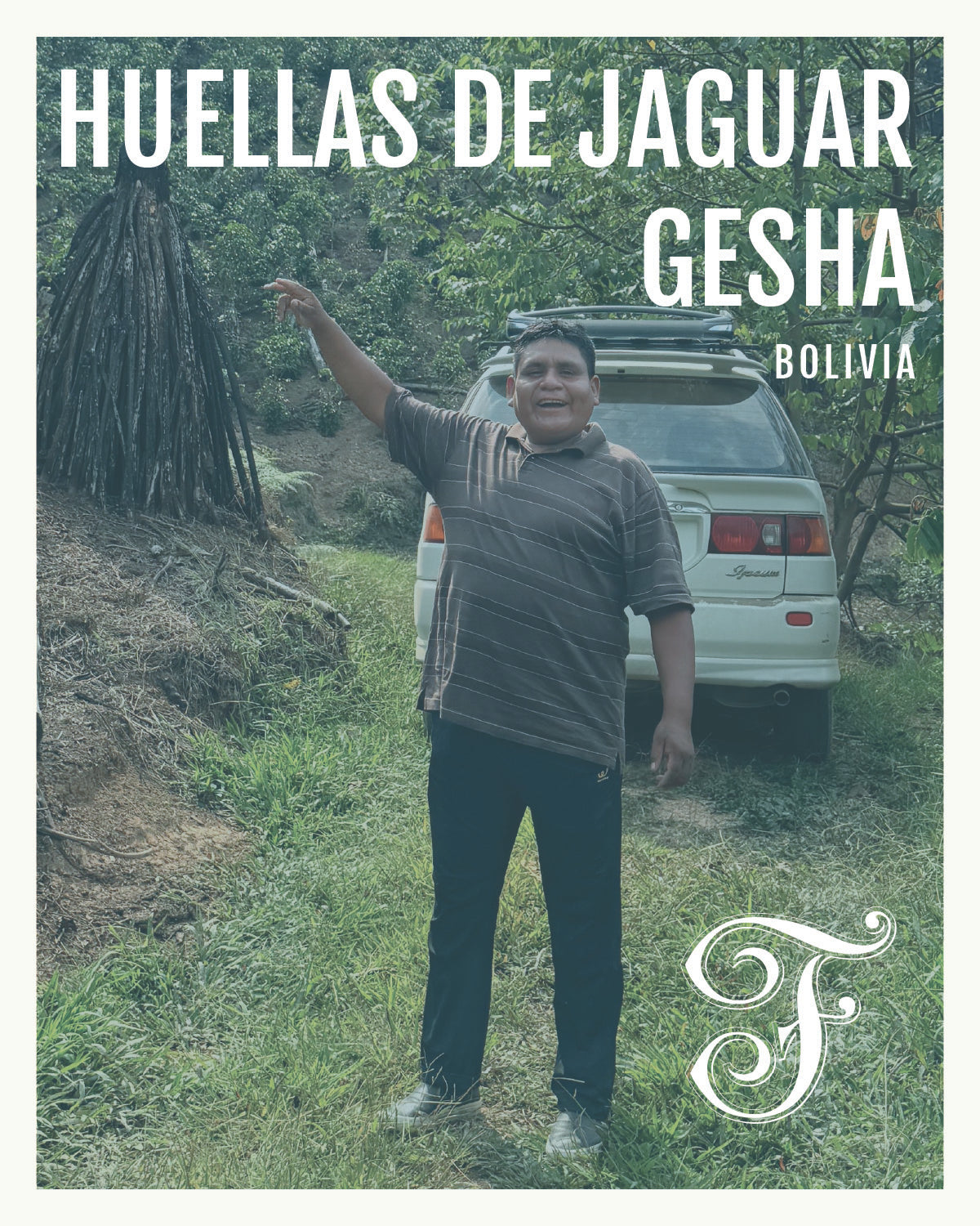 Bolivia Huellas de Jaguar Gesha