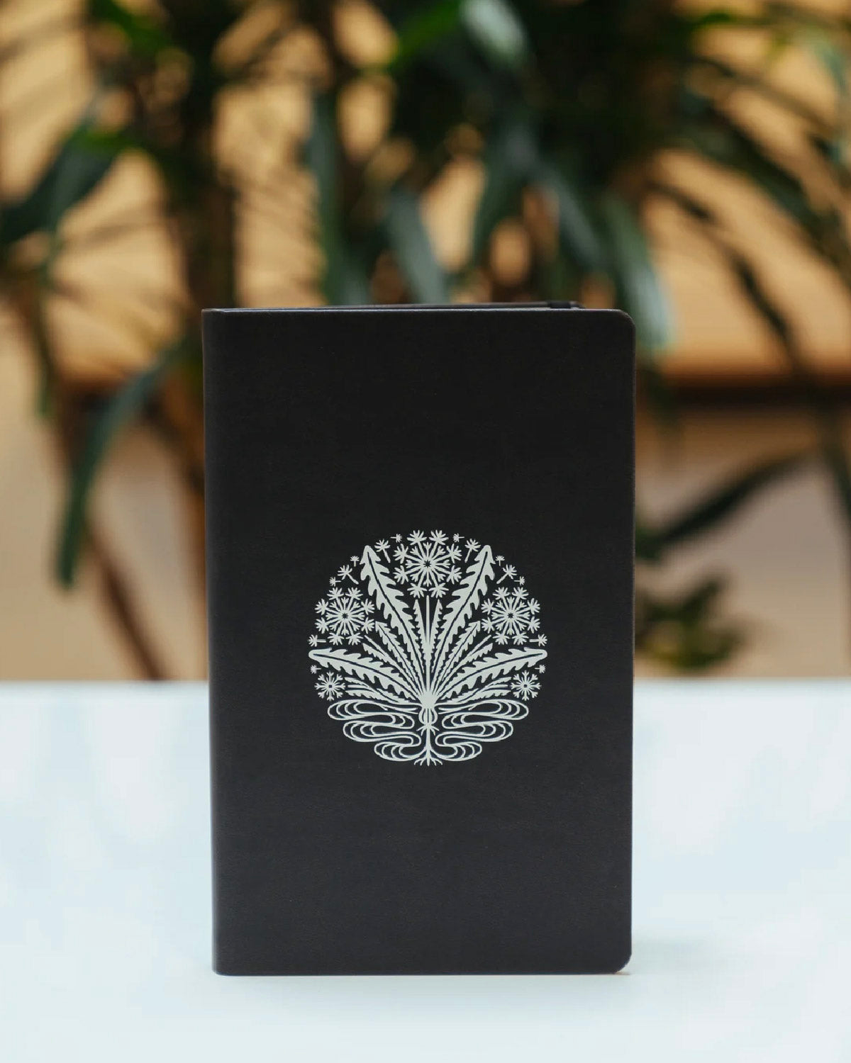 Little Brother Journal