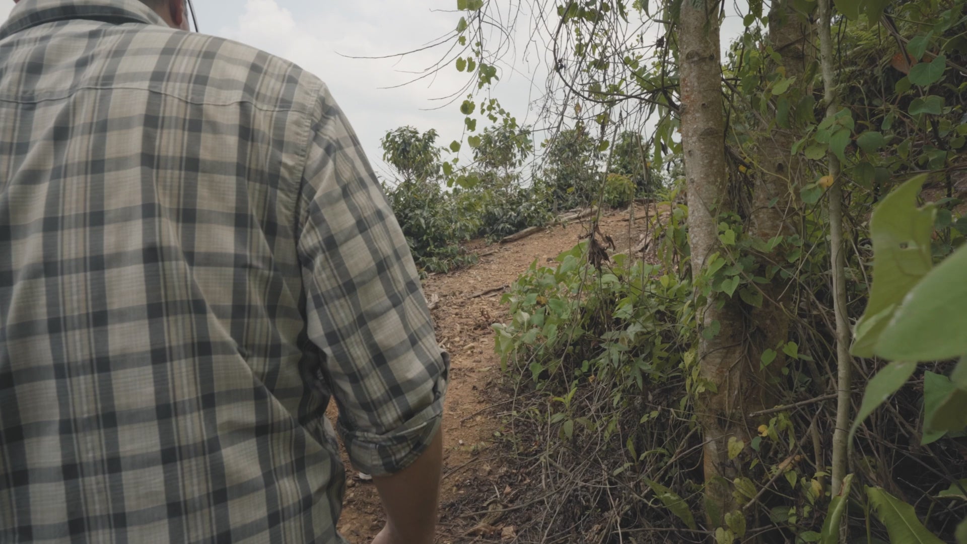 Porventir Farm Video